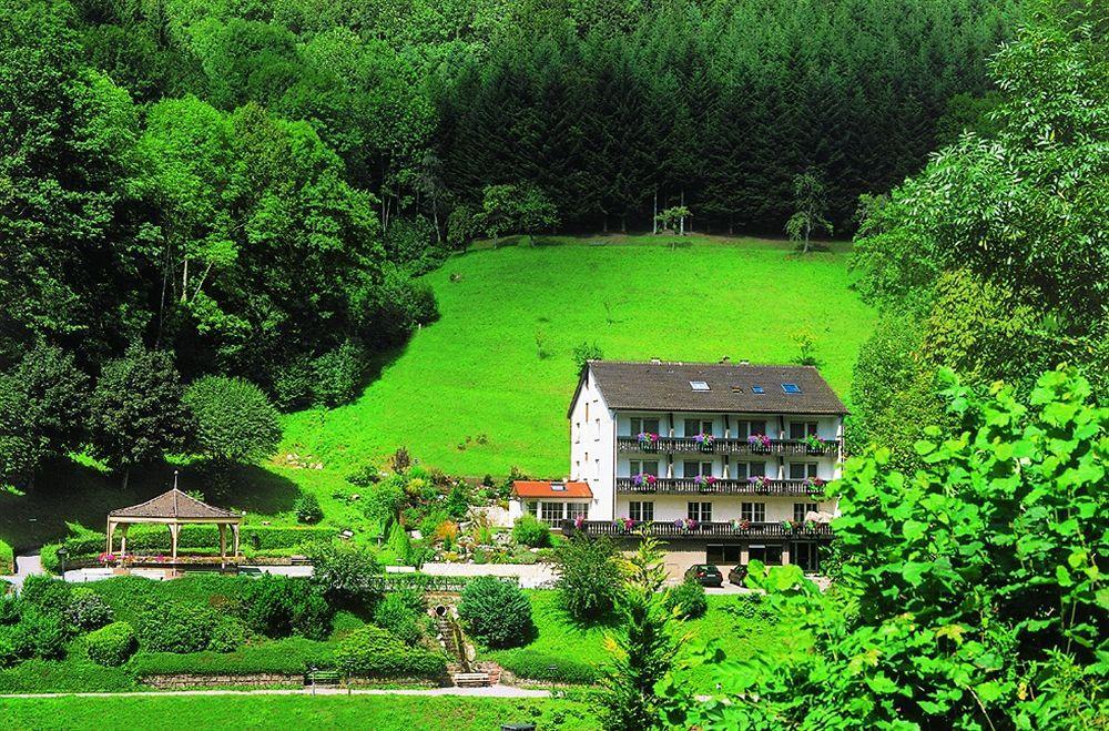 Flair Hotel Adlerbad Бад Петерстал-Грисбах Екстериор снимка