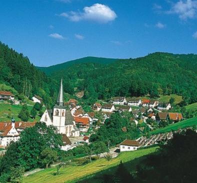 Flair Hotel Adlerbad Бад Петерстал-Грисбах Екстериор снимка